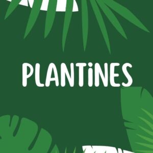 Plantines