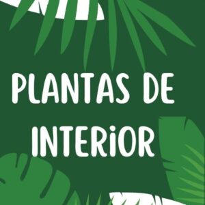 Plantas Interior