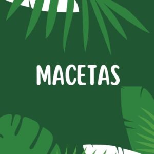 Macetas