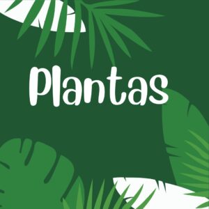 Plantas