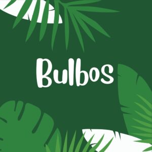 Bulbos