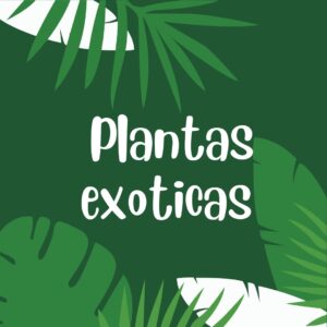 Plantas Exoticas